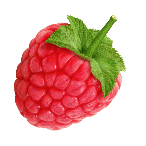 Rraspberry Png Image Transparent PNG Image