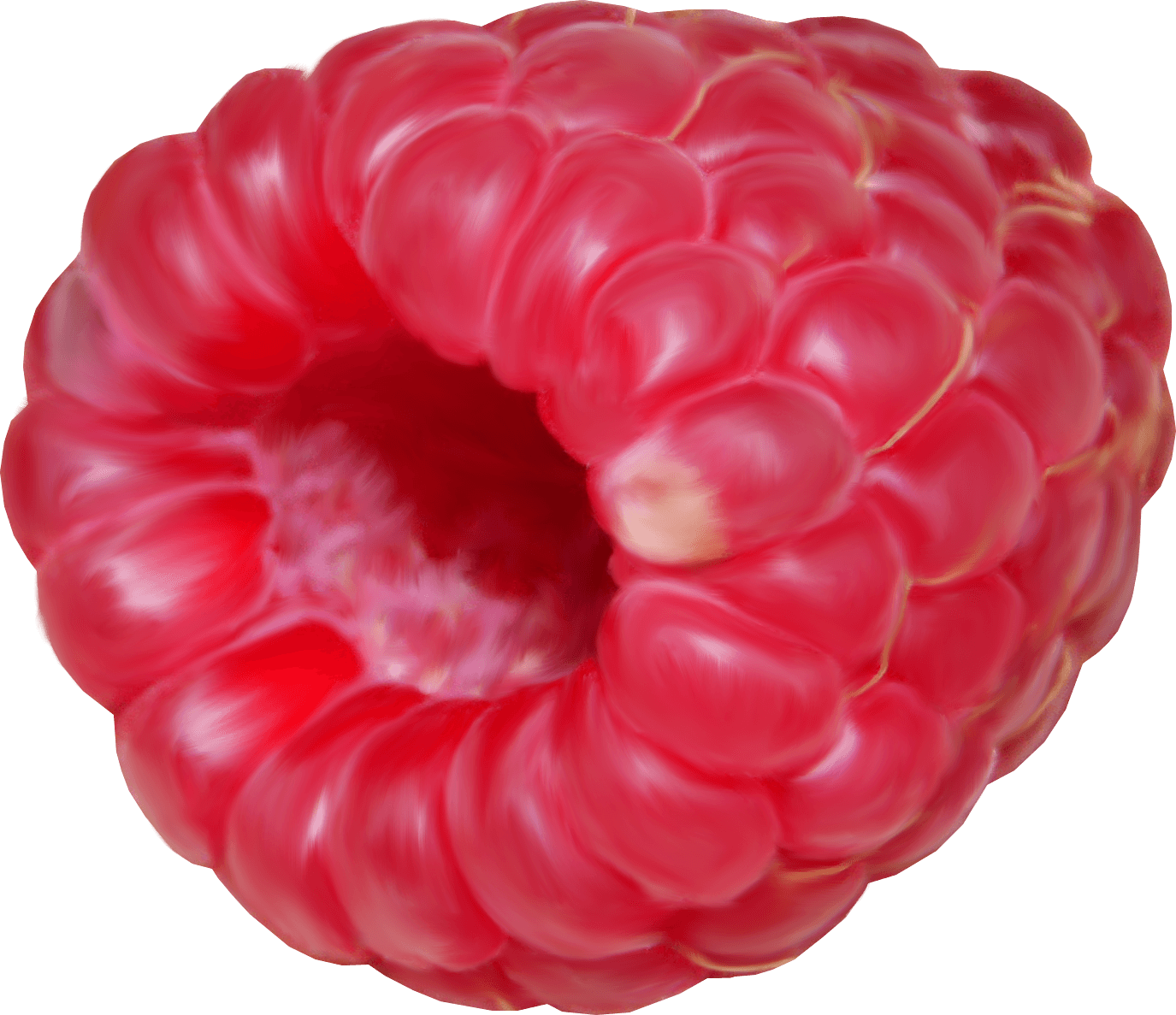 Rraspberry Png Image Transparent PNG Image