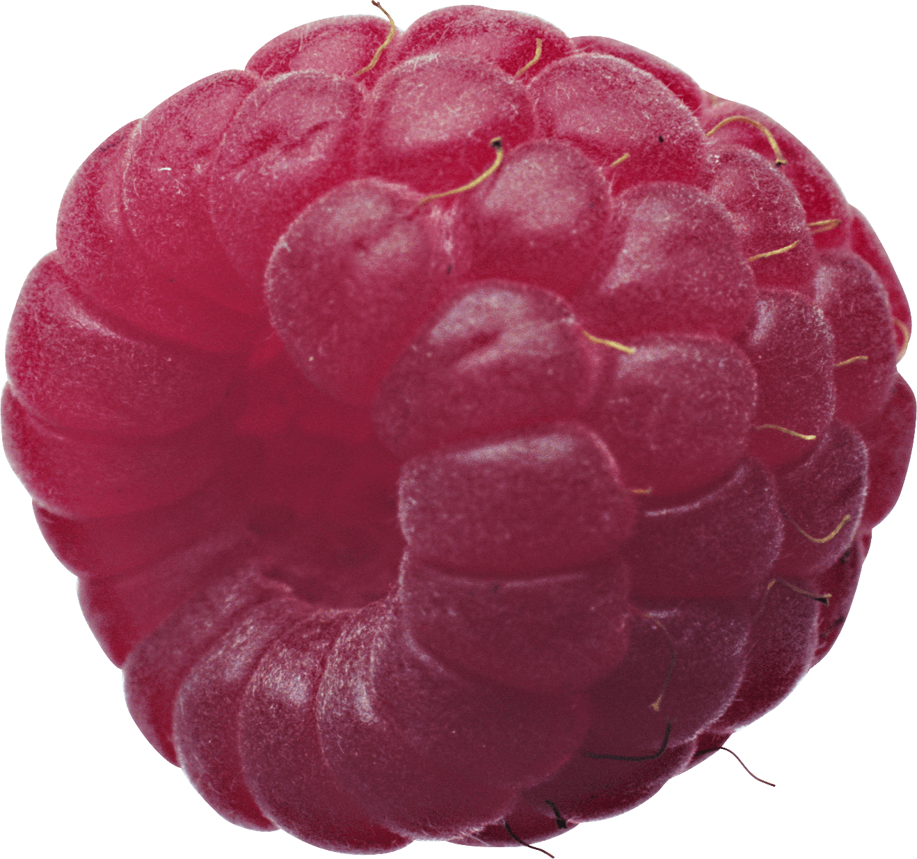 Rraspberry Png Image Transparent PNG Image