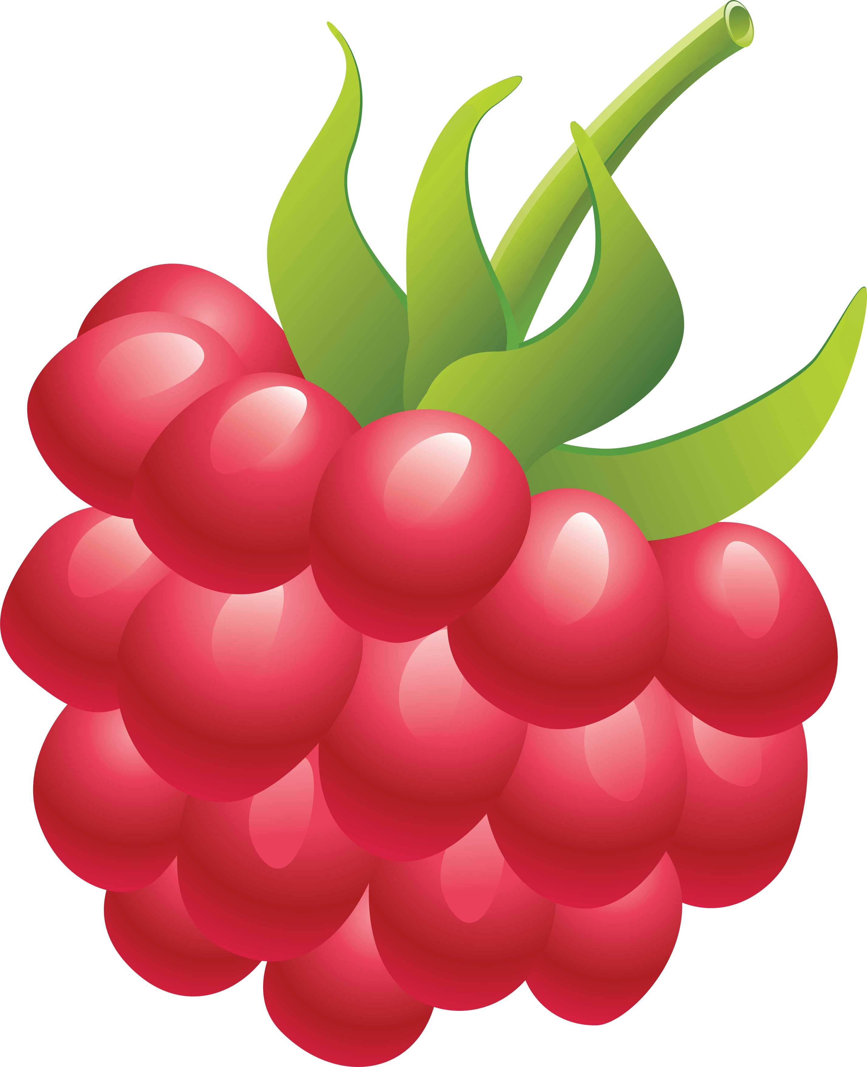 Rraspberry Png Image Transparent PNG Image