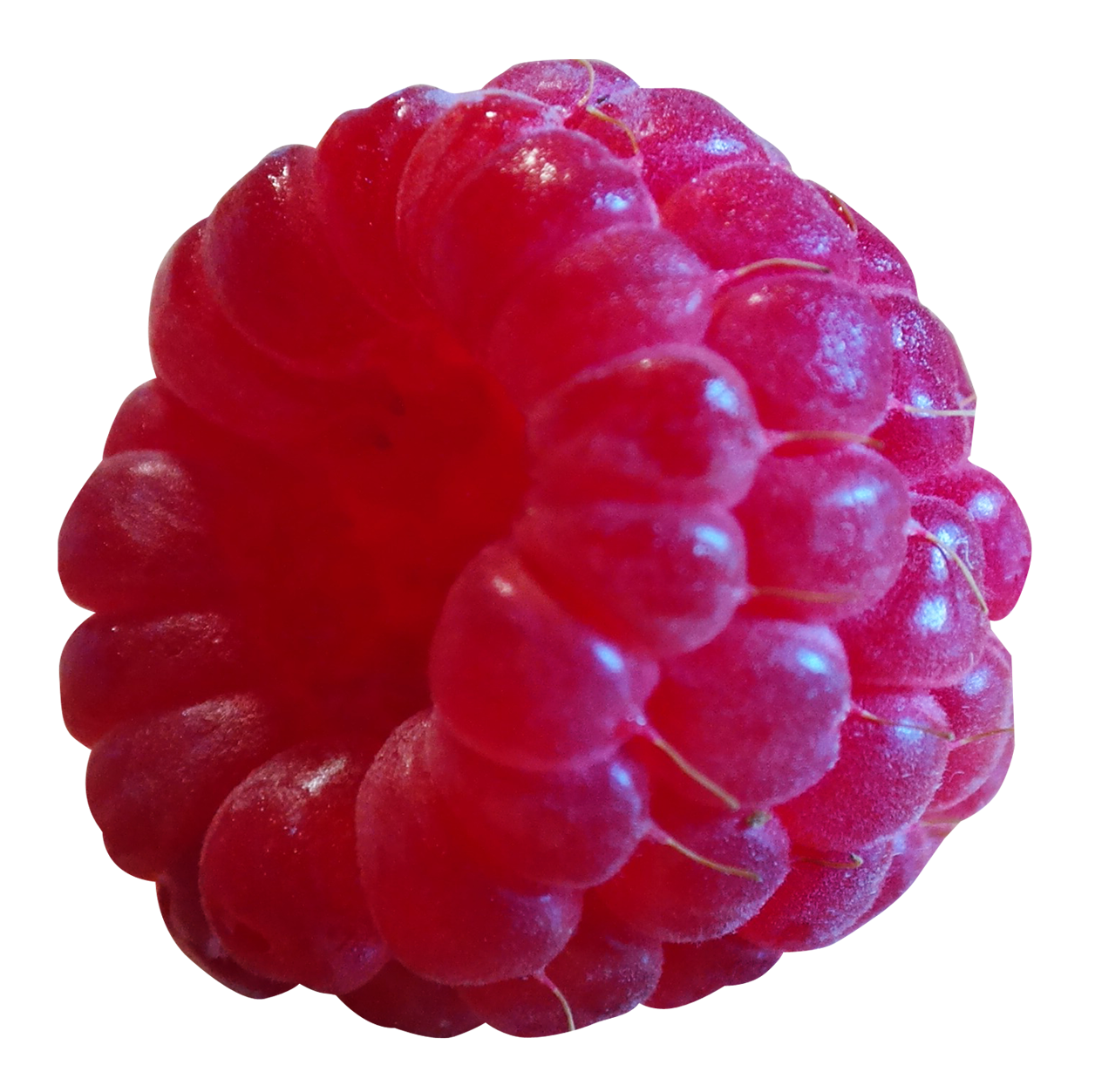 Raspberry Transparent Image Transparent PNG Image