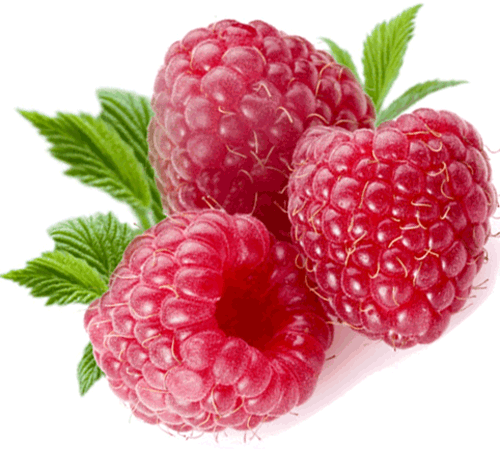 Rraspberry Png Image Transparent PNG Image