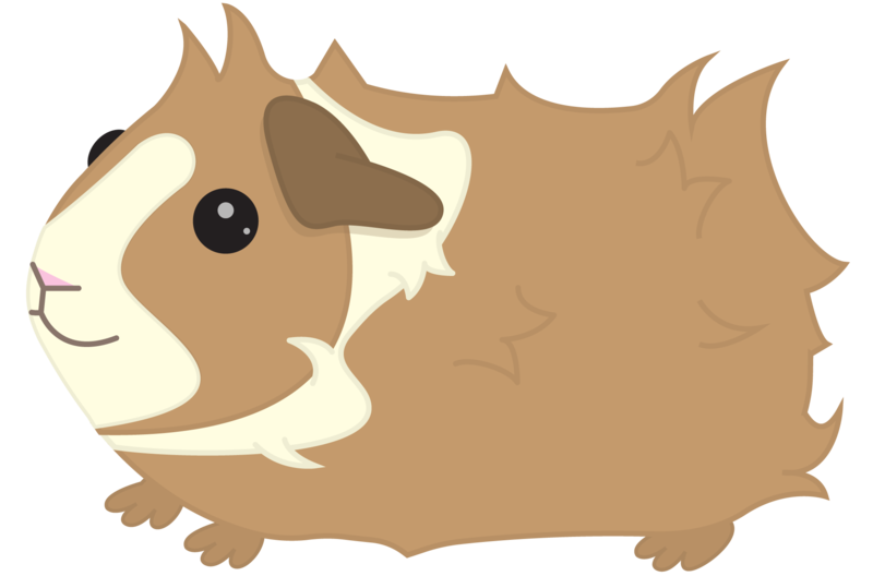 Portable Wallpaper Illustration Desktop Guineapig Graphics Network Transparent PNG Image