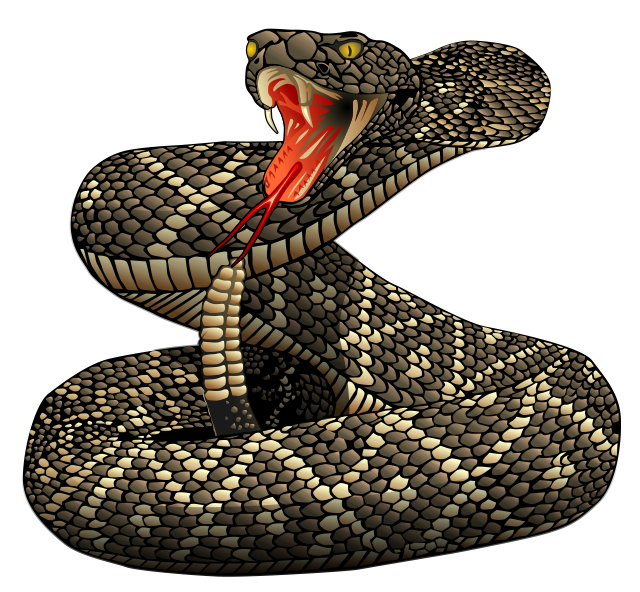 Rattlesnake Png File Transparent PNG Image