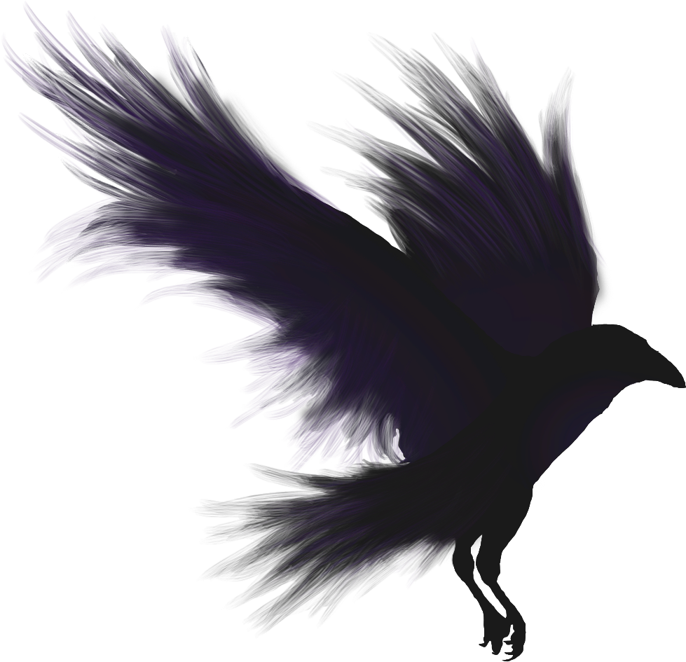 Pic Bird Raven Download HQ Transparent PNG Image