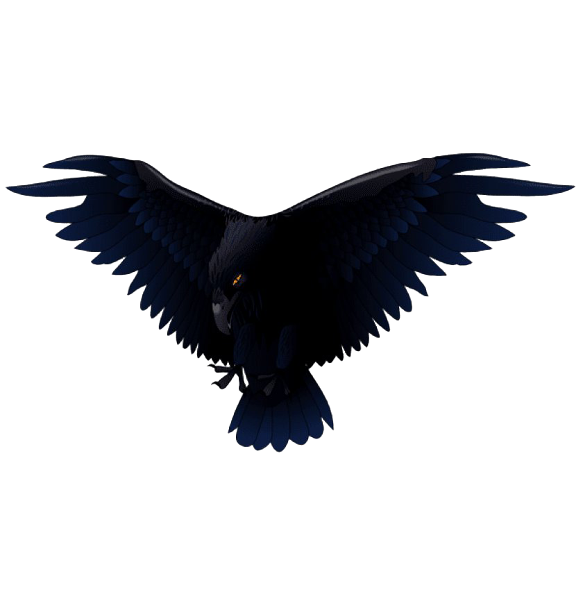 Bird Raven Free Transparent Image HQ Transparent PNG Image