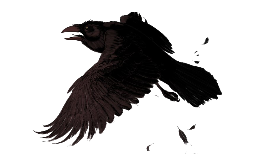 Pic Raven Download HD Transparent PNG Image