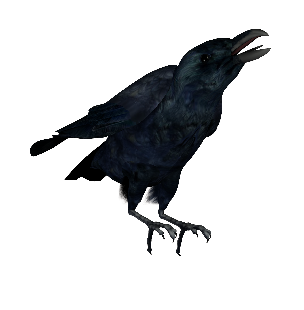 Picture Raven Free Transparent Image HD Transparent PNG Image