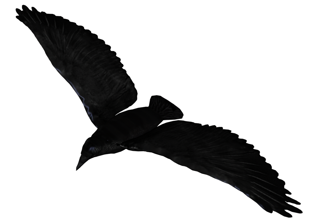 Raven Flying Transparent PNG Image