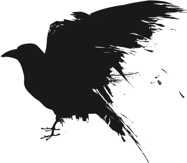 Raven Transparent Transparent PNG Image