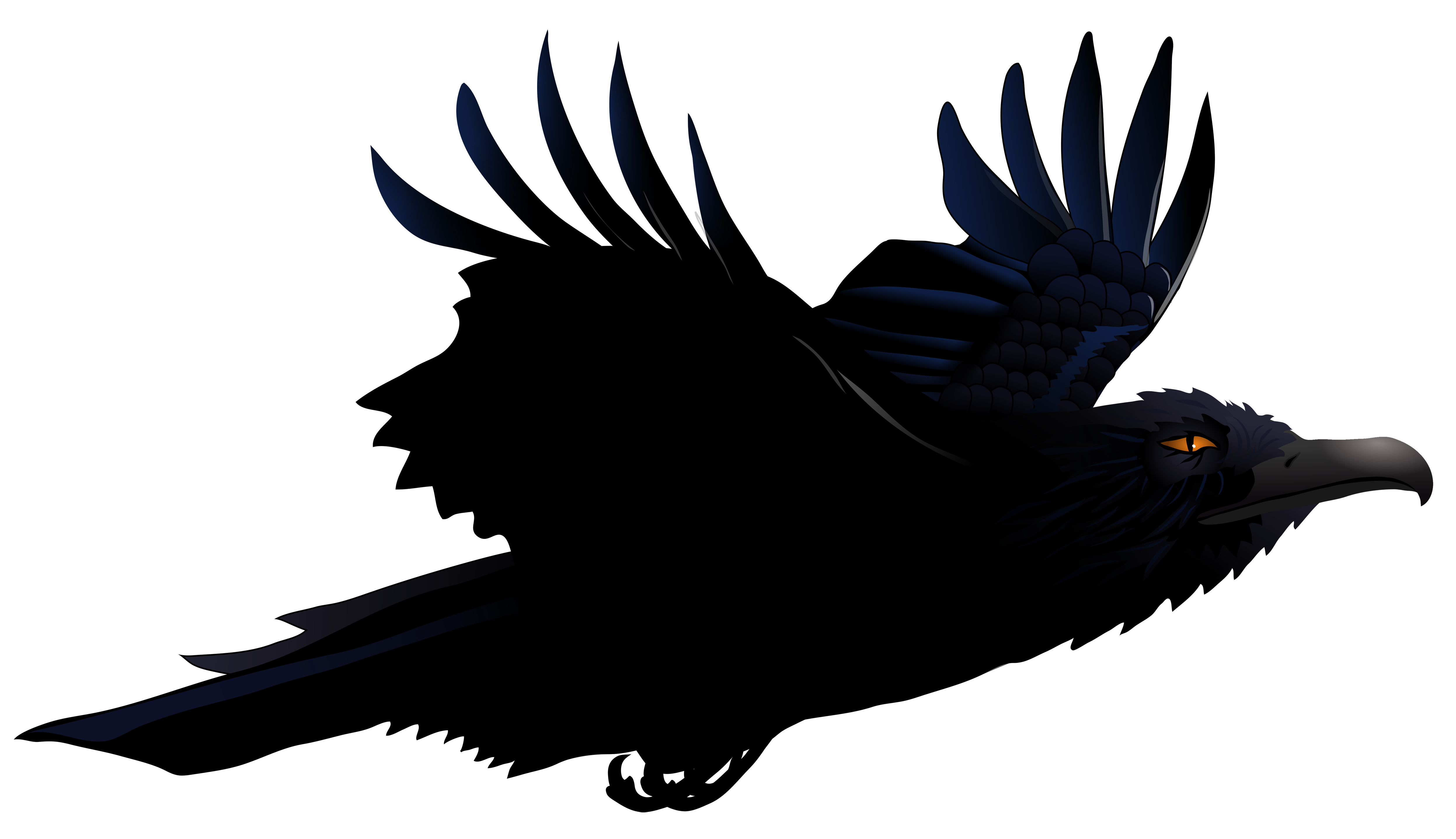 Raven Png Picture Transparent PNG Image