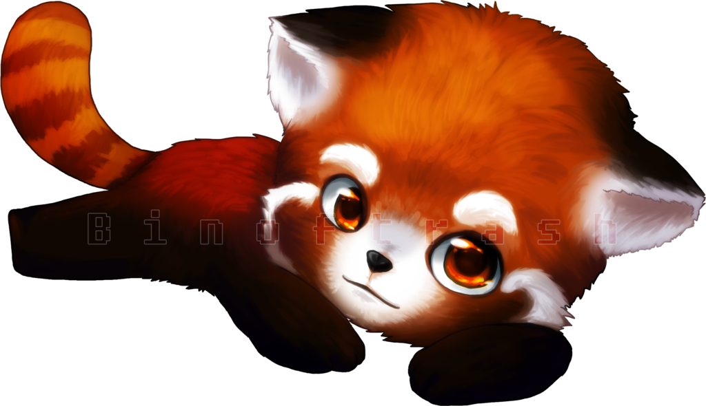 Red Panda Png Clipart Transparent PNG Image