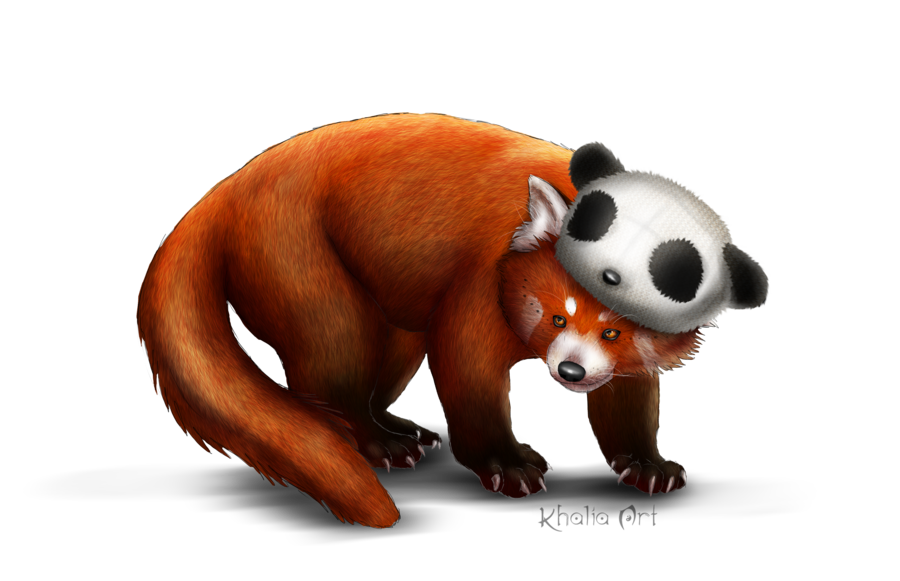 Red Panda Png Picture Transparent PNG Image