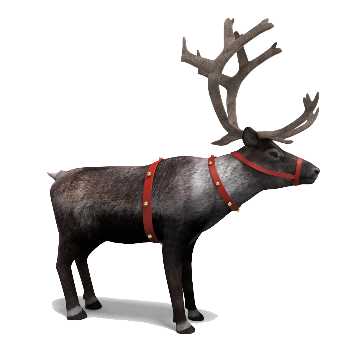 Reindeer Picture Transparent PNG Image