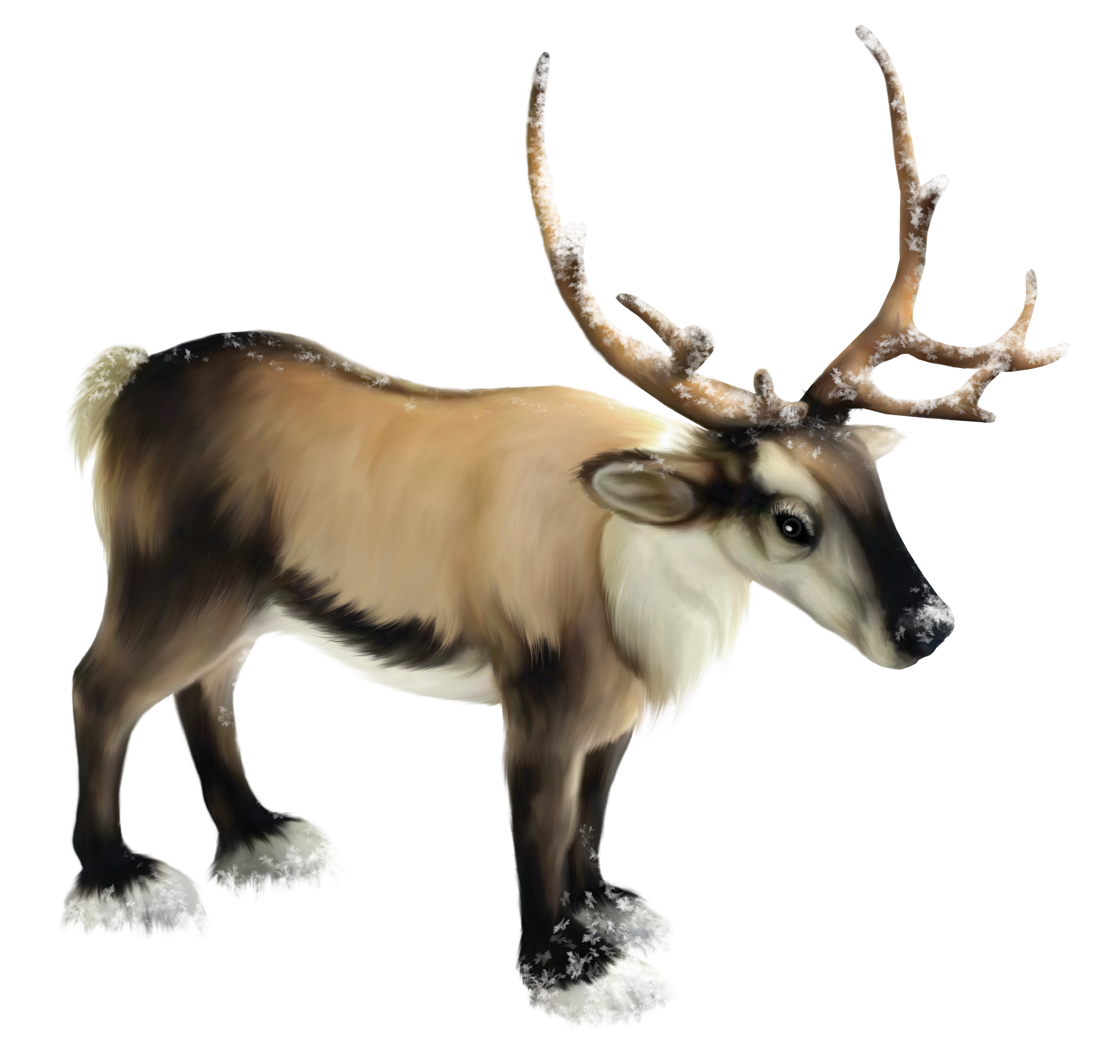 Reindeer Png Clipart Transparent PNG Image