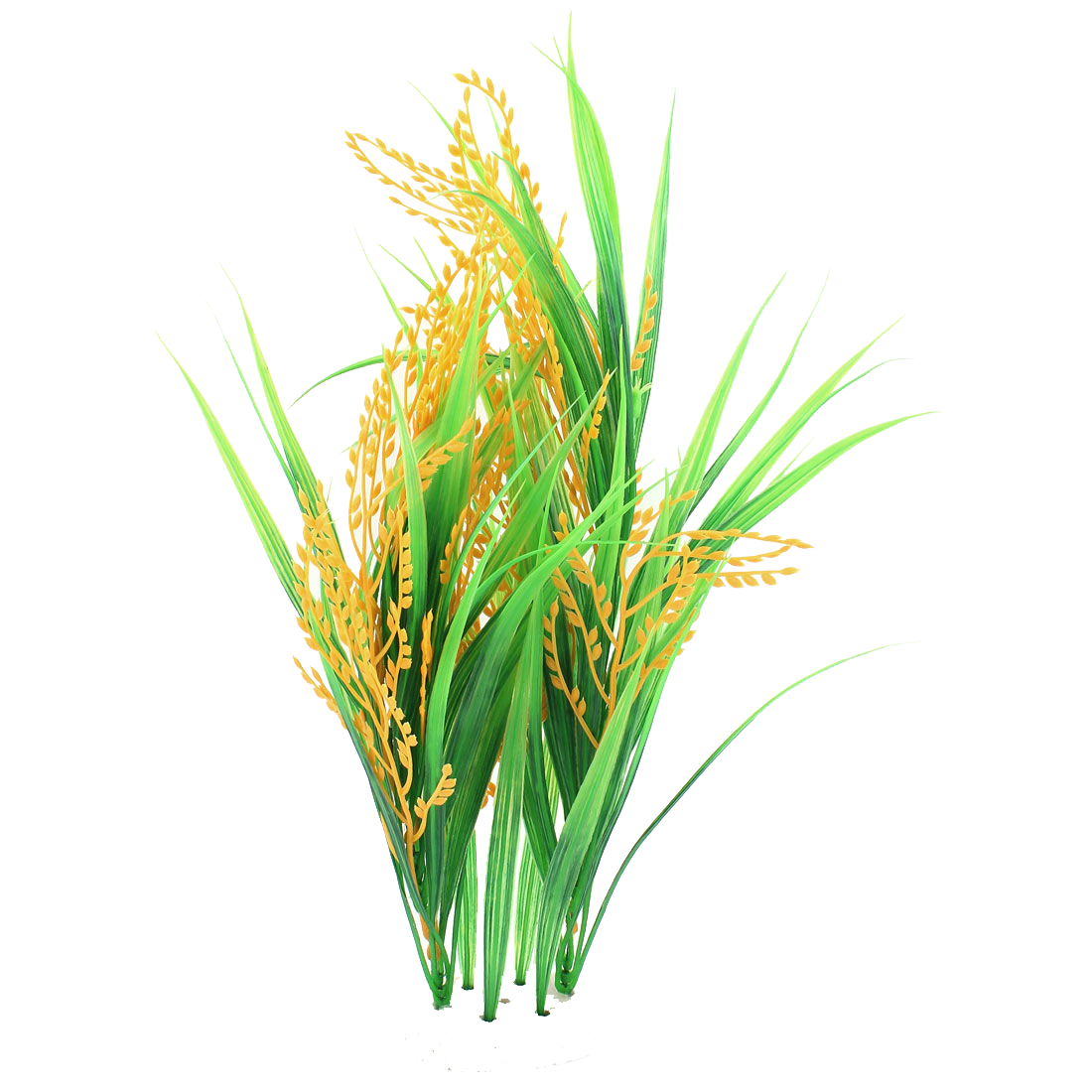 Rice Picture Transparent PNG Image