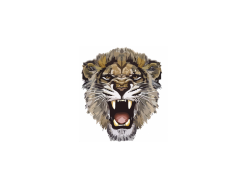 Lioness Roar Photos Transparent PNG Image