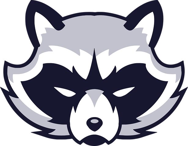 Raccoon Cartoon Rocket Free PNG HQ Transparent PNG Image