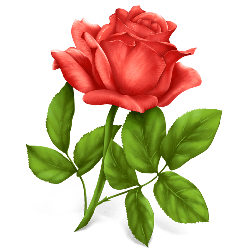 Pink Rose Png Image Picture Download Transparent PNG Image