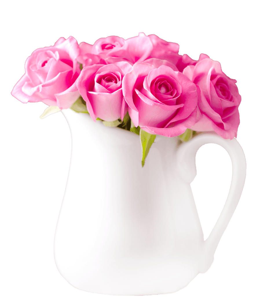 Pink Flower Blossom Rose Photos Bunch Transparent PNG Image