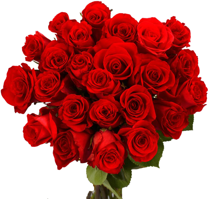 Bouquet Rose Red Free Photo Transparent PNG Image