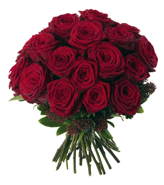 Bouquet Rose Red Photos Free HQ Image Transparent PNG Image