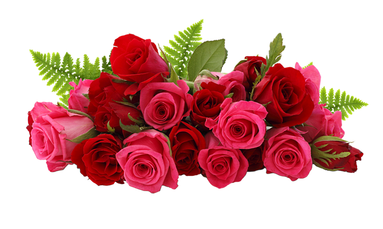 Bouquet Rose Pic Red Download Free Image Transparent PNG Image