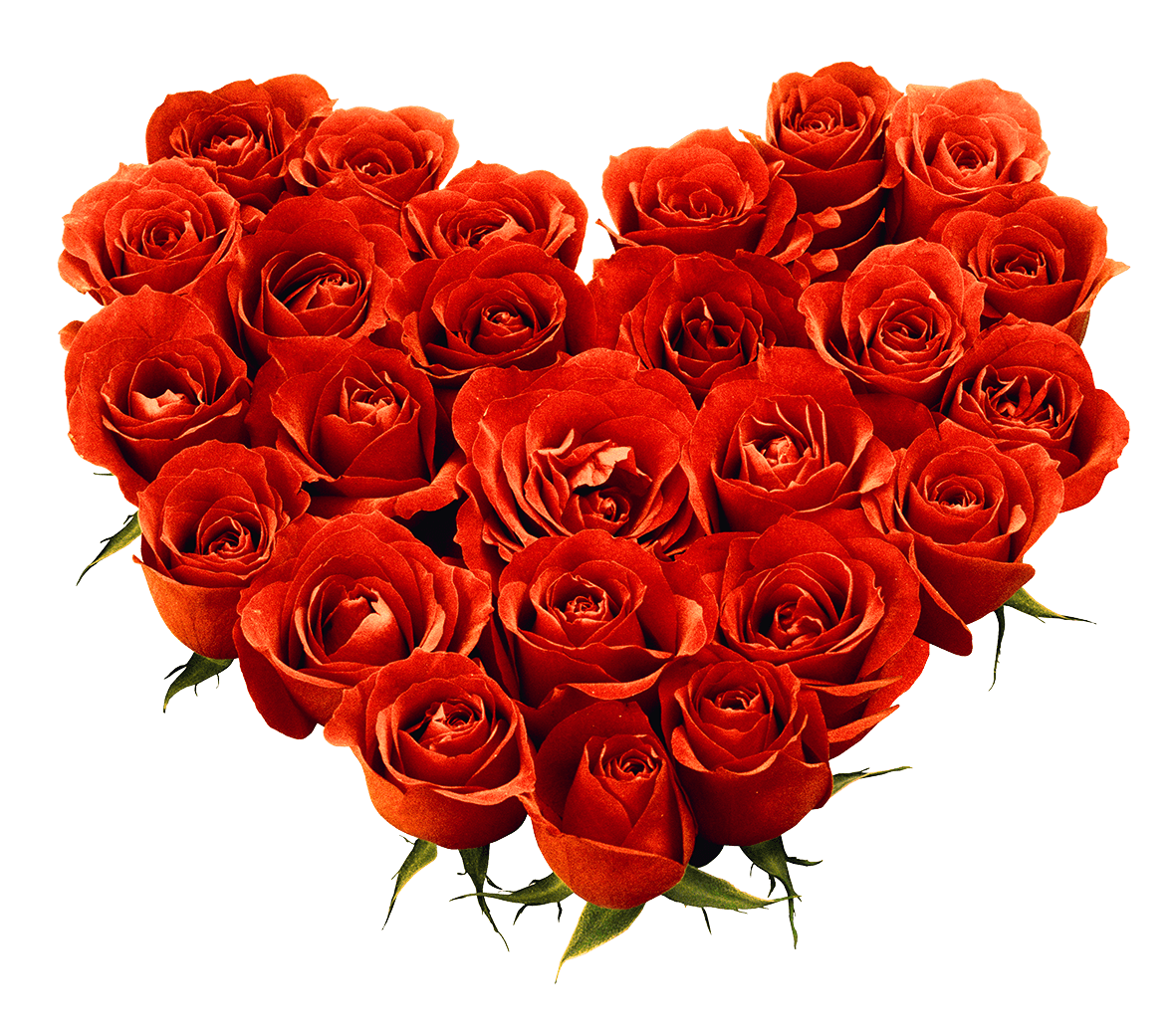 Bouquet Of Roses Png Image Picture Download Transparent PNG Image