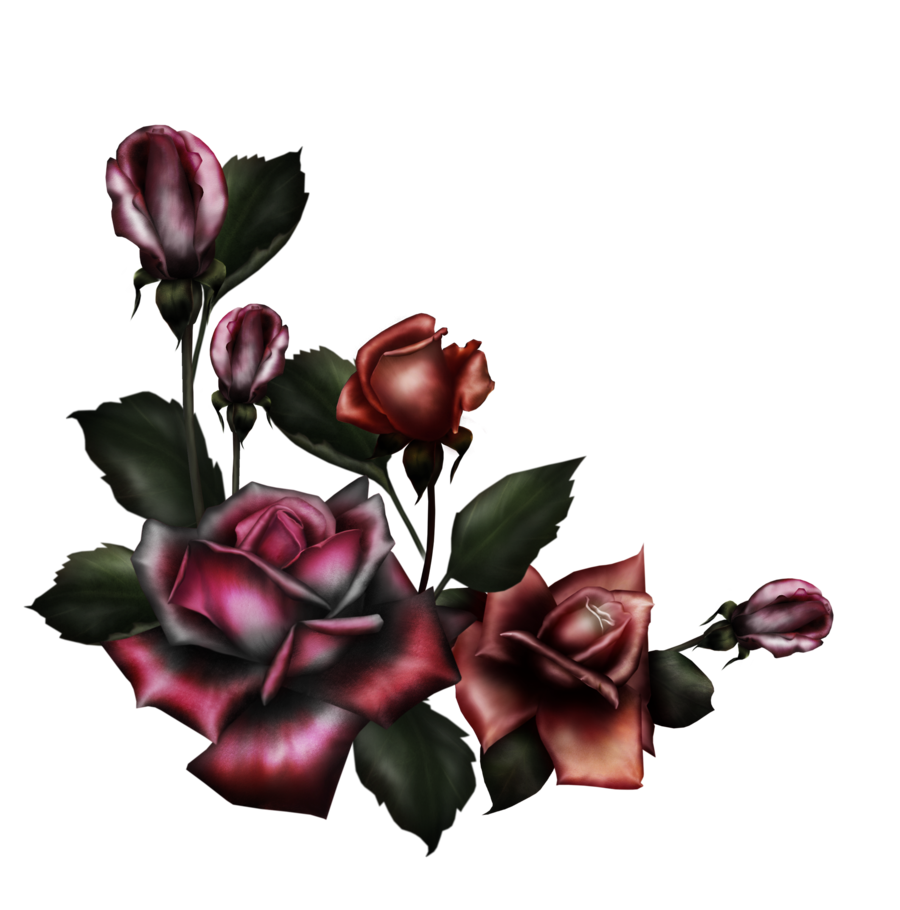 Gothic Rose Transparent PNG Image