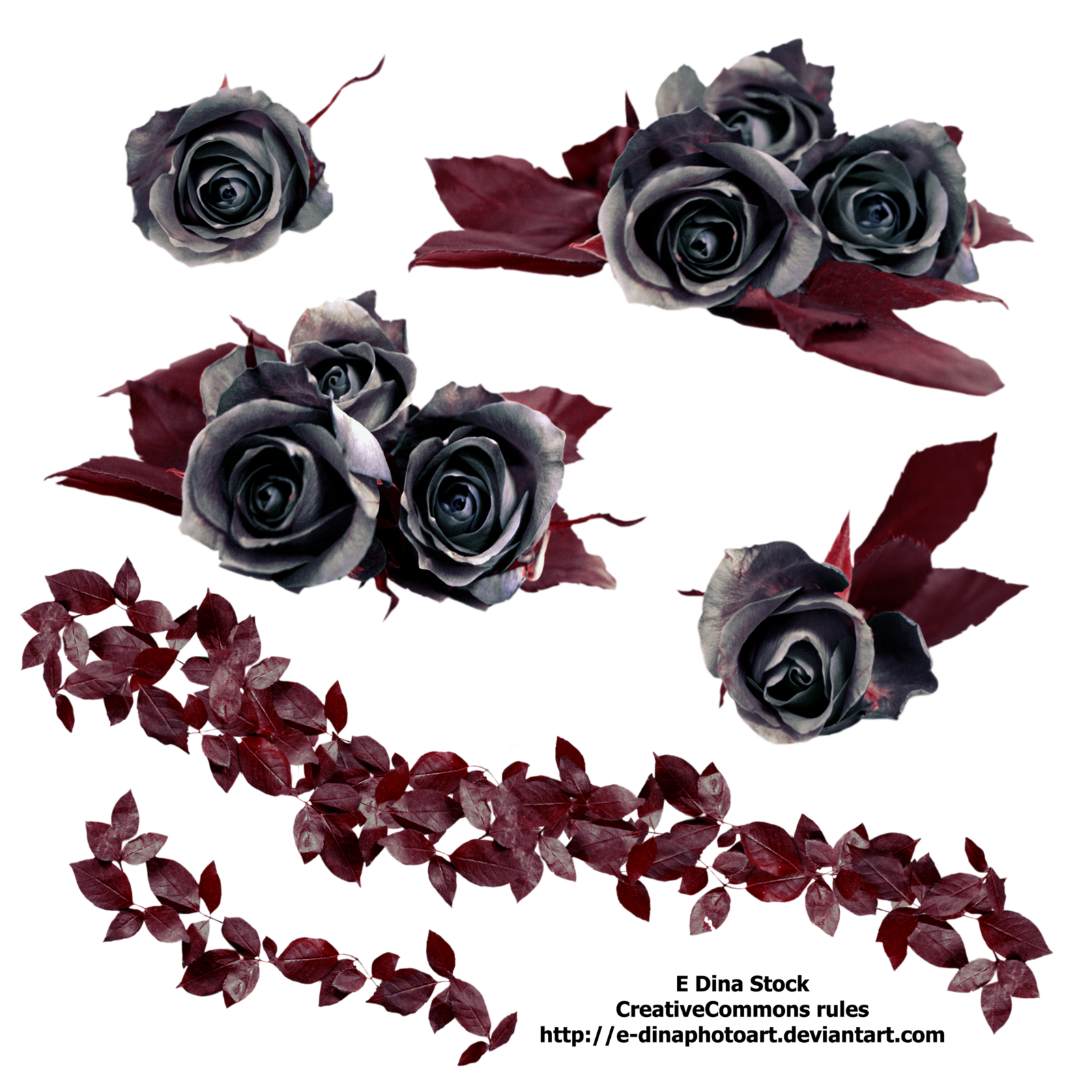 Gothic Rose Free Download Transparent PNG Image