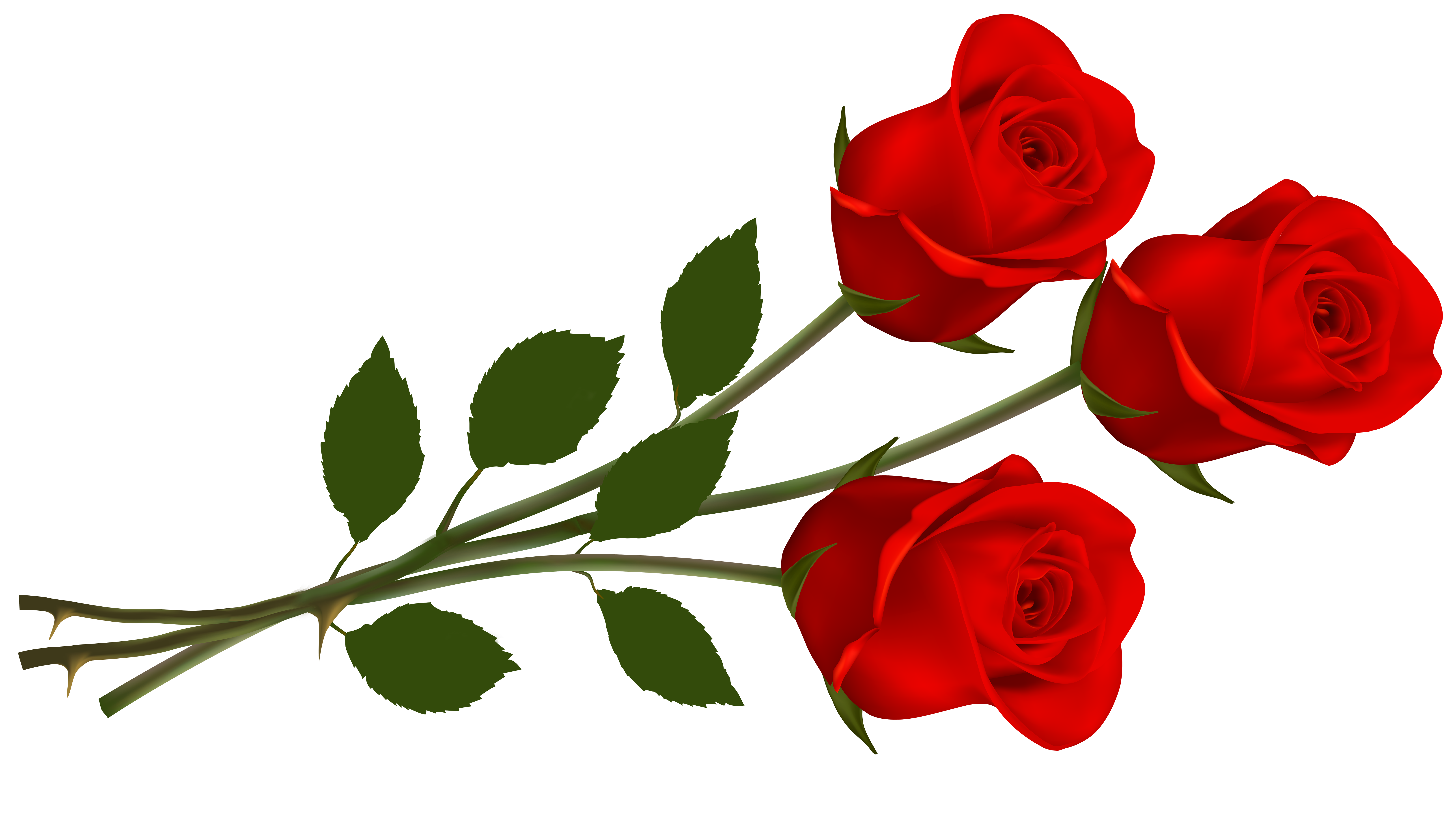 Rose File Transparent PNG Image