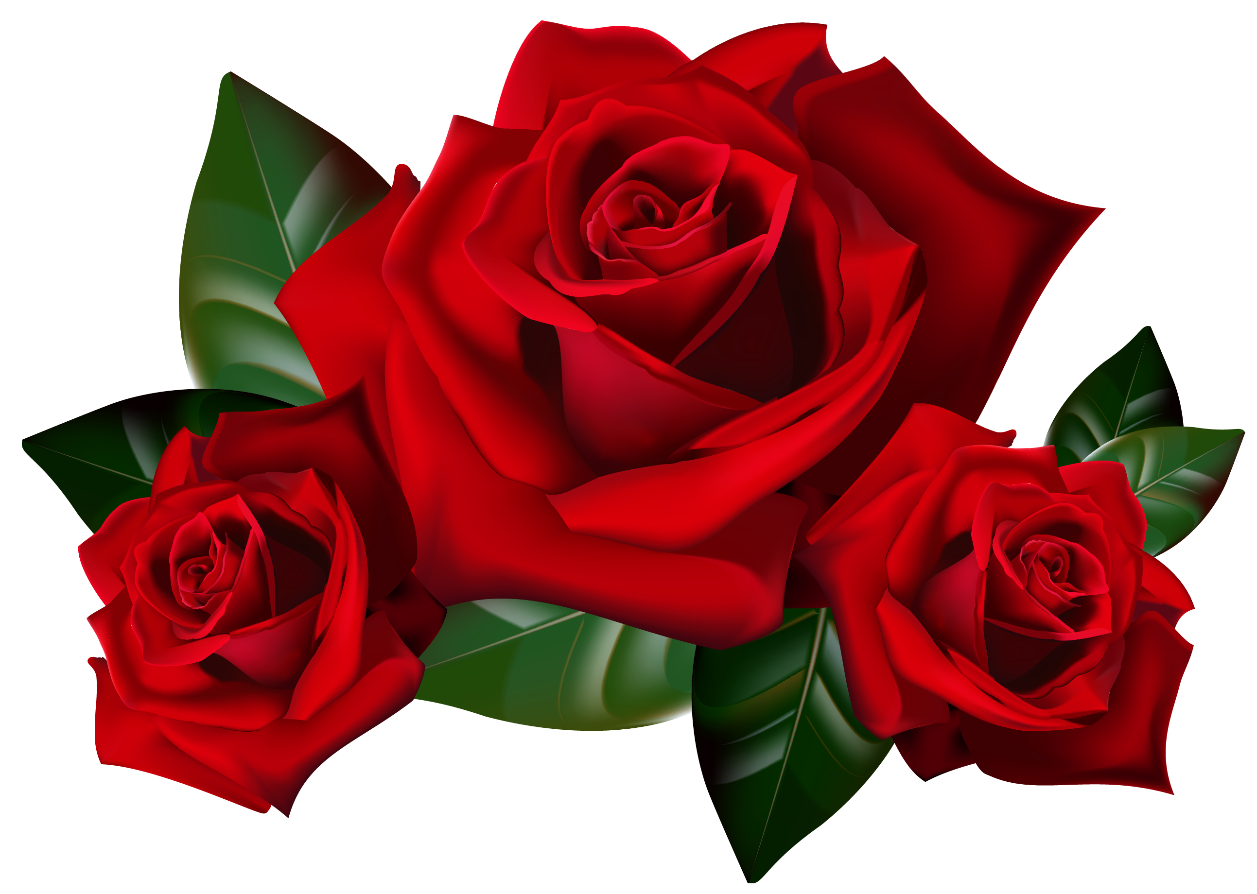 Rose Clipart Transparent PNG Image