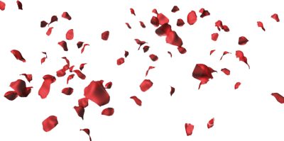 Rose Petals Hd Transparent PNG Image