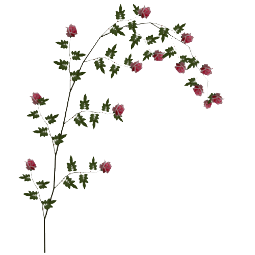 Rose Vine File Transparent PNG Image