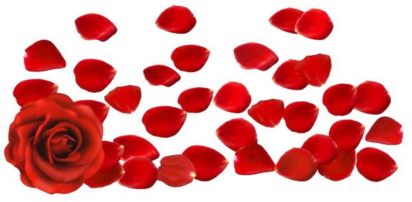 Rose Petals Transparent PNG Image