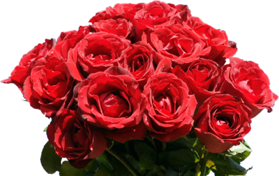 Rose Bunch Transparent PNG Image