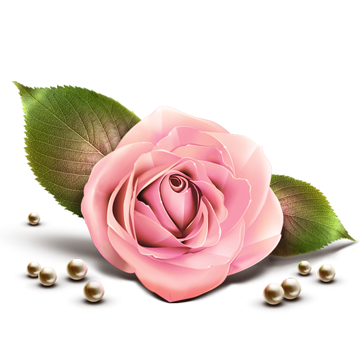 Pink Rose Clipart Transparent PNG Image