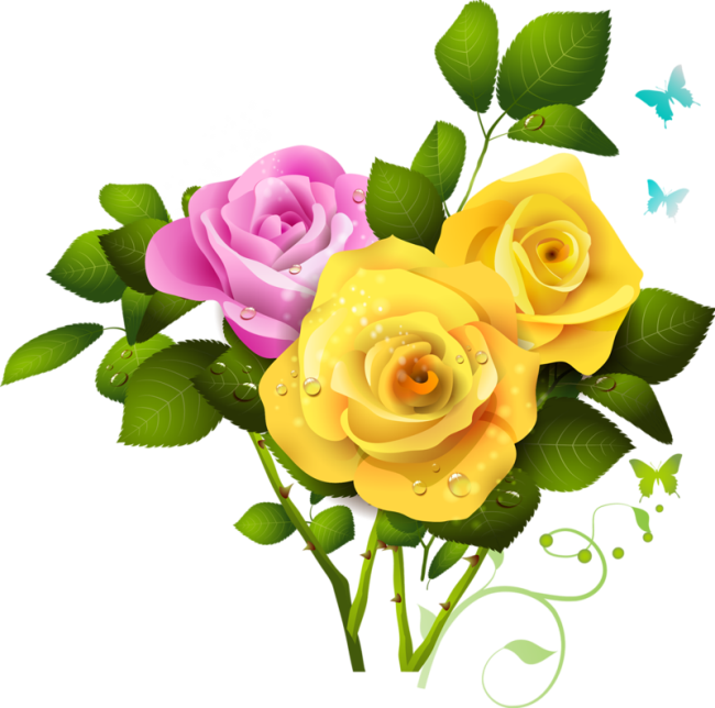 Yellow Rose File Transparent PNG Image