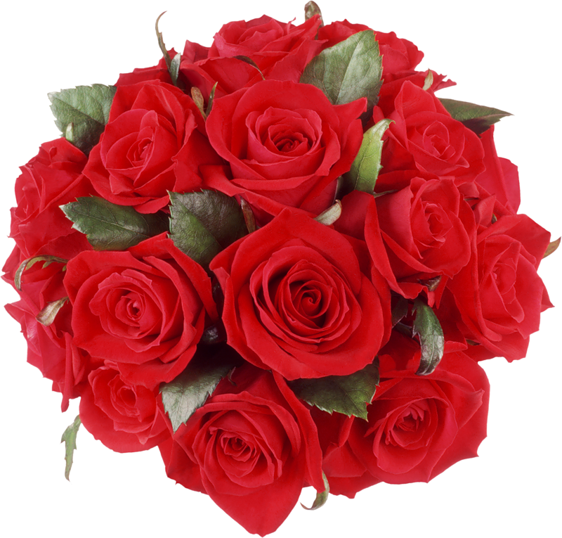 Rose Bunch File Transparent PNG Image