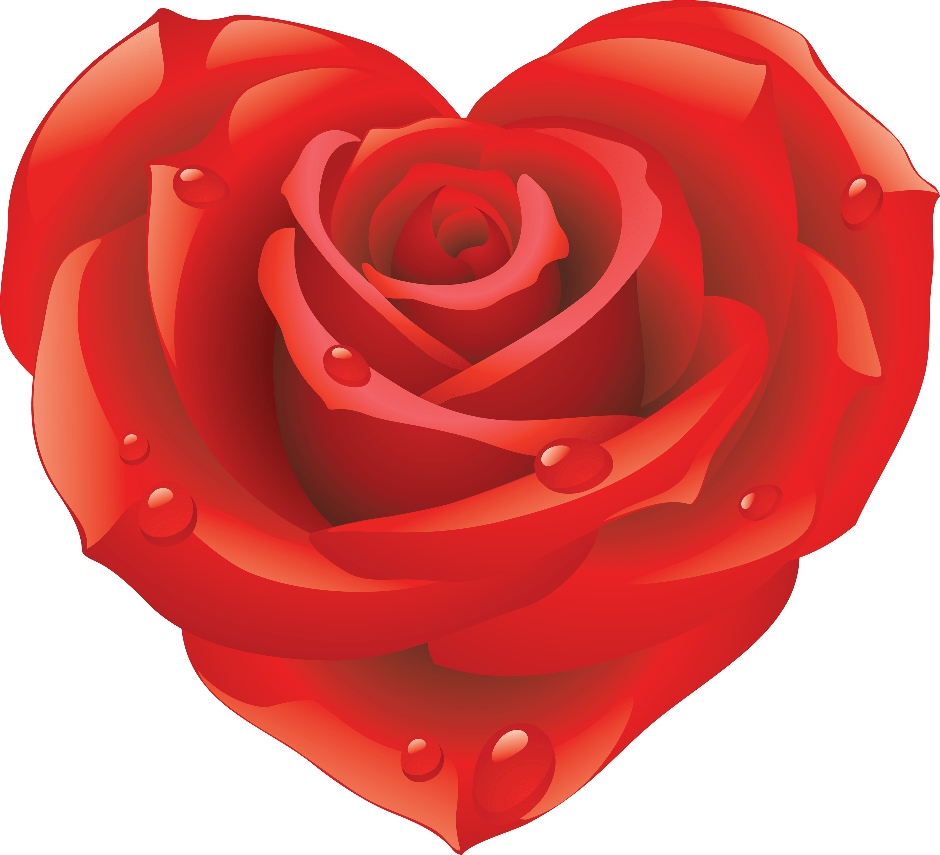 Rose Png Image Picture Download Transparent PNG Image