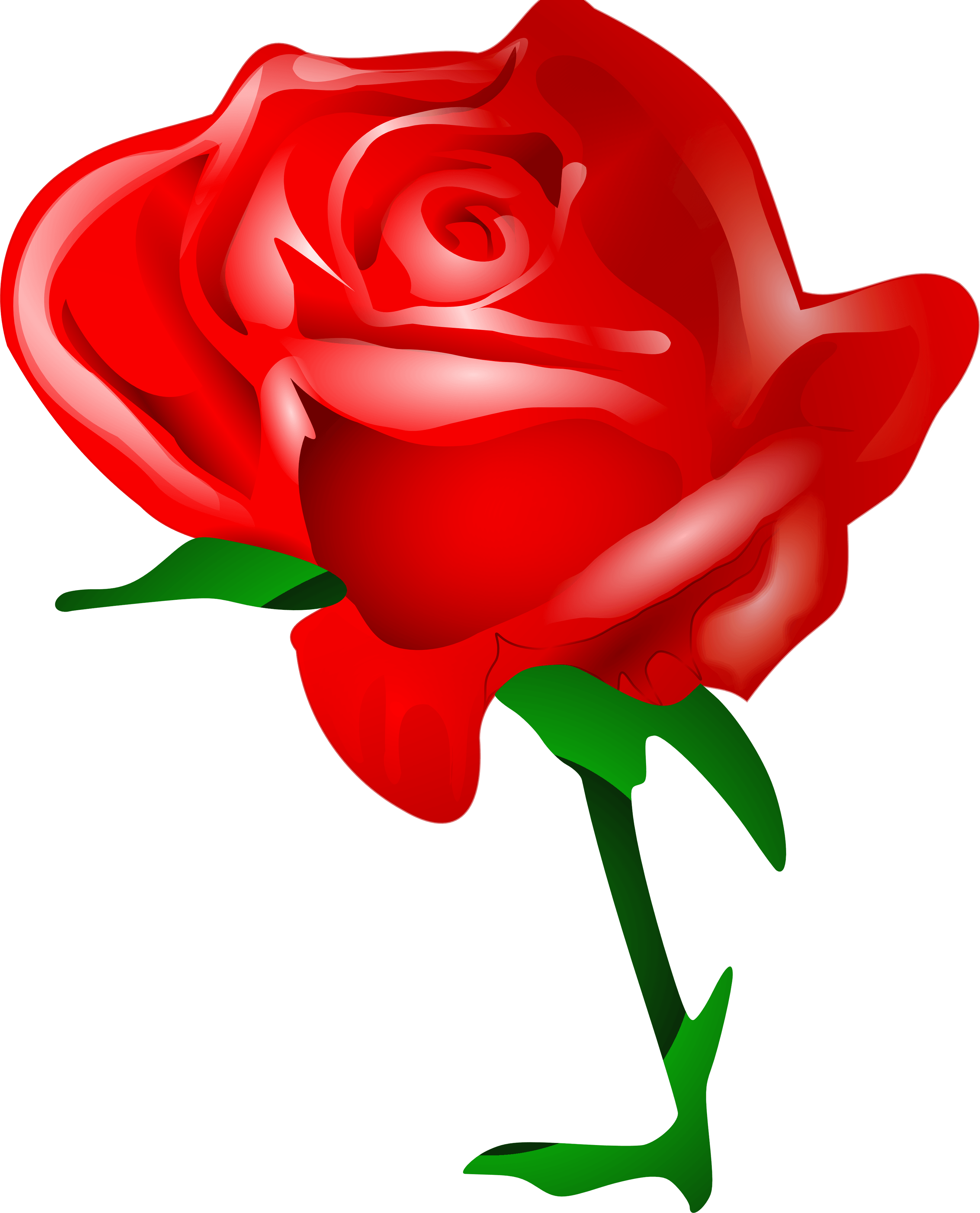 Rose Png Image Picture Download Transparent PNG Image