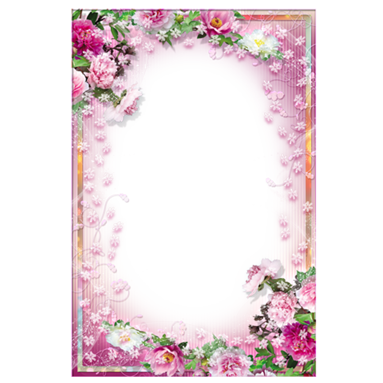 Pink Picture Frame Application Warm Floral Flowers Transparent PNG Image