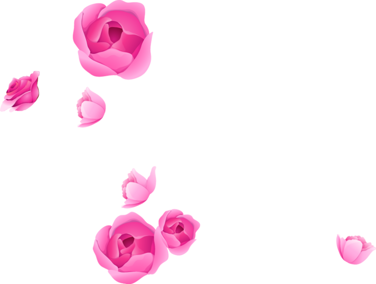 Photoshop Flower Adobe Portable Rose Graphics Border Transparent PNG Image