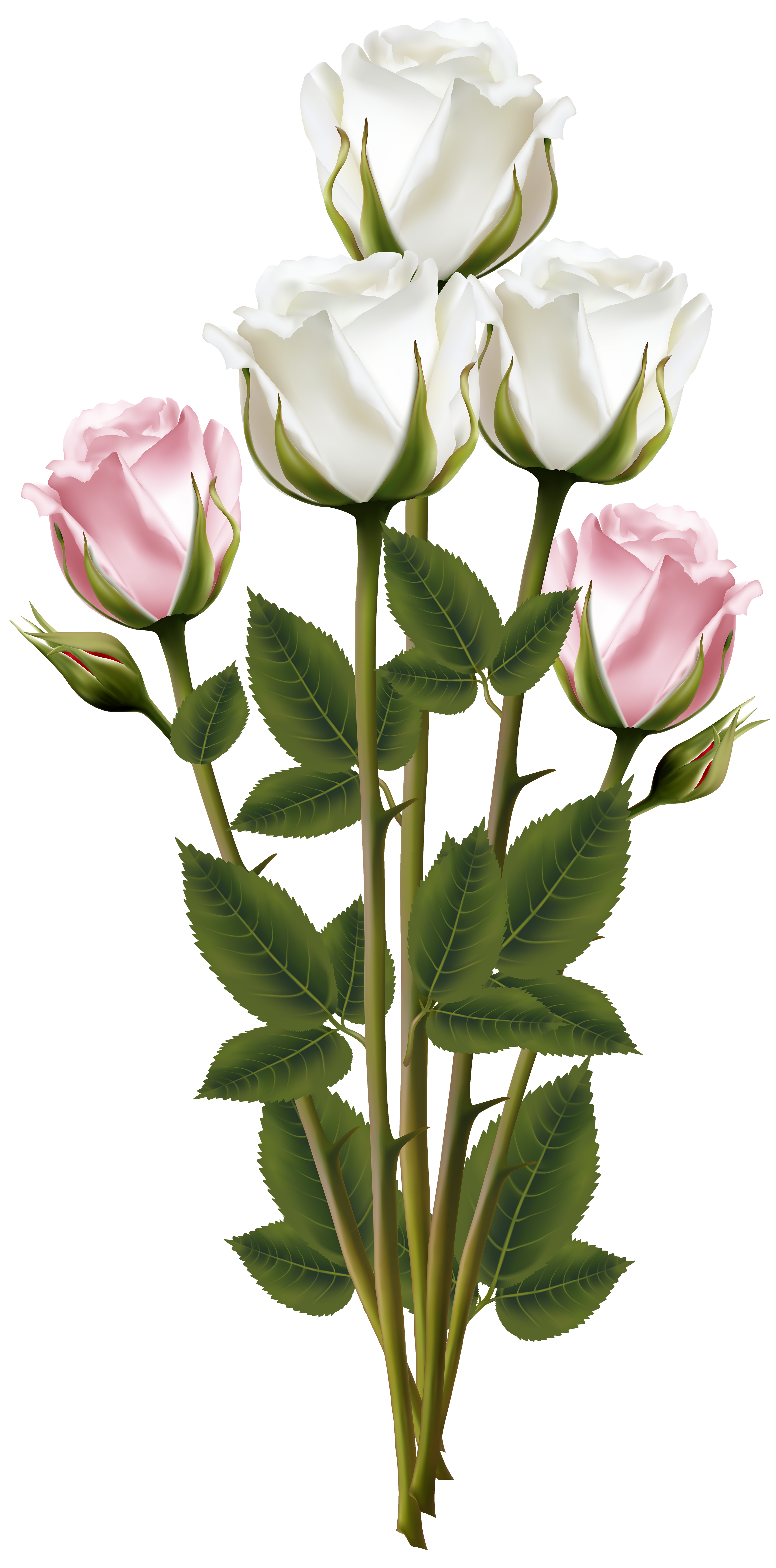 Bouquet Rose Pink Flower Plant Free Download Image Transparent PNG Image