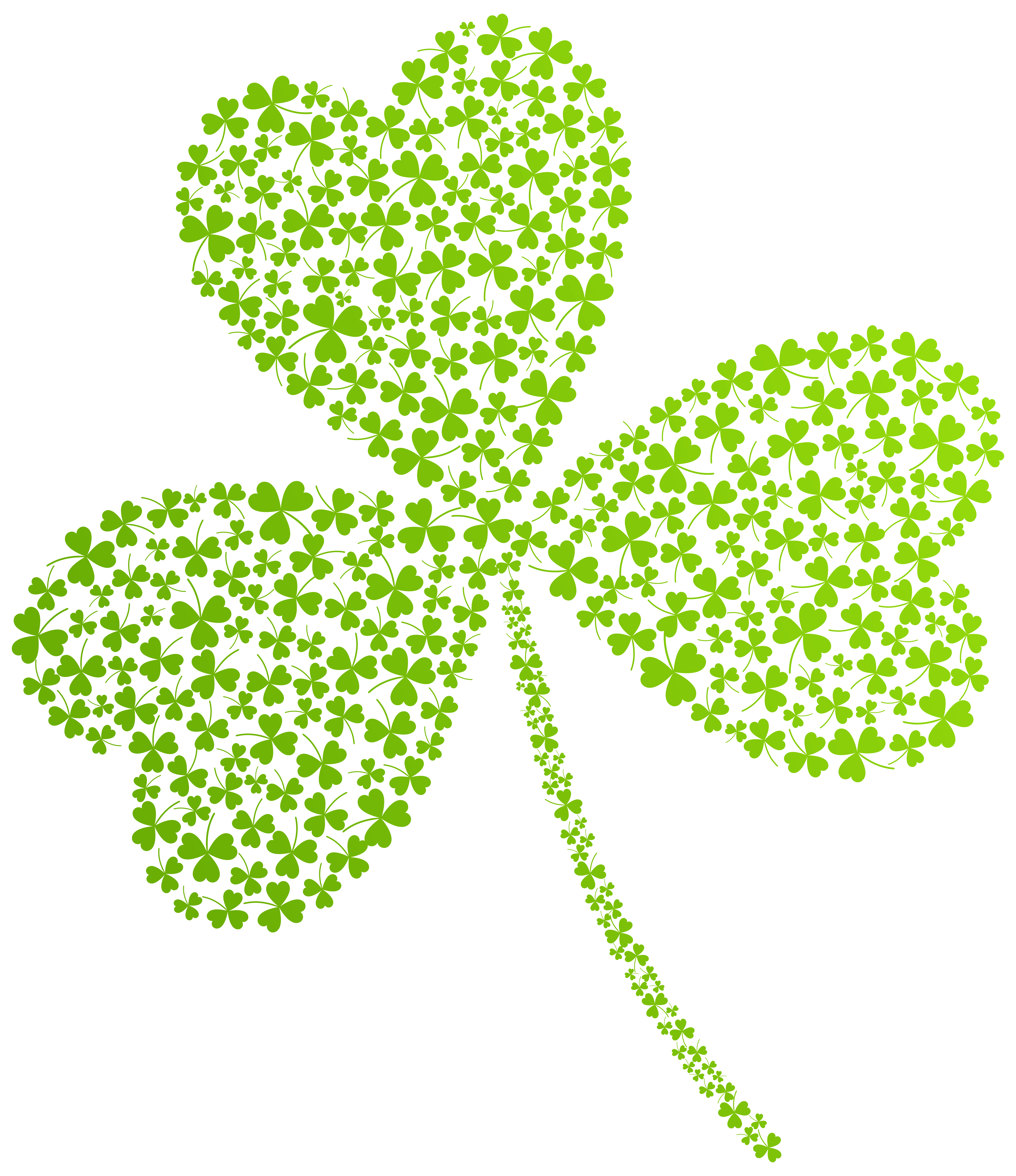 Plant Flora Patrick St Shamrock Shamrocks Saint Transparent PNG Image