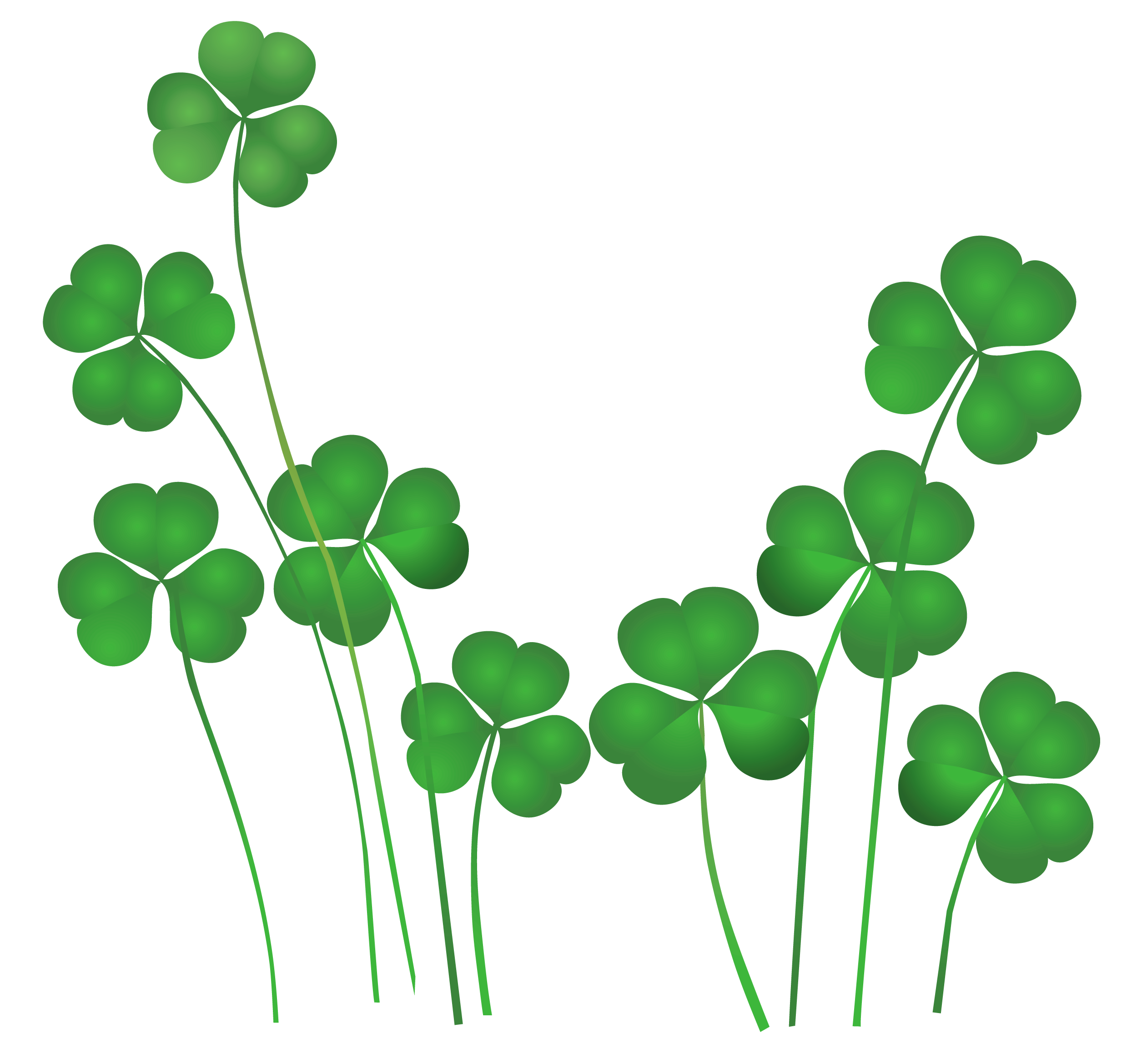 Plant Leaf Ireland Patrick Day Saint Holiday Transparent PNG Image