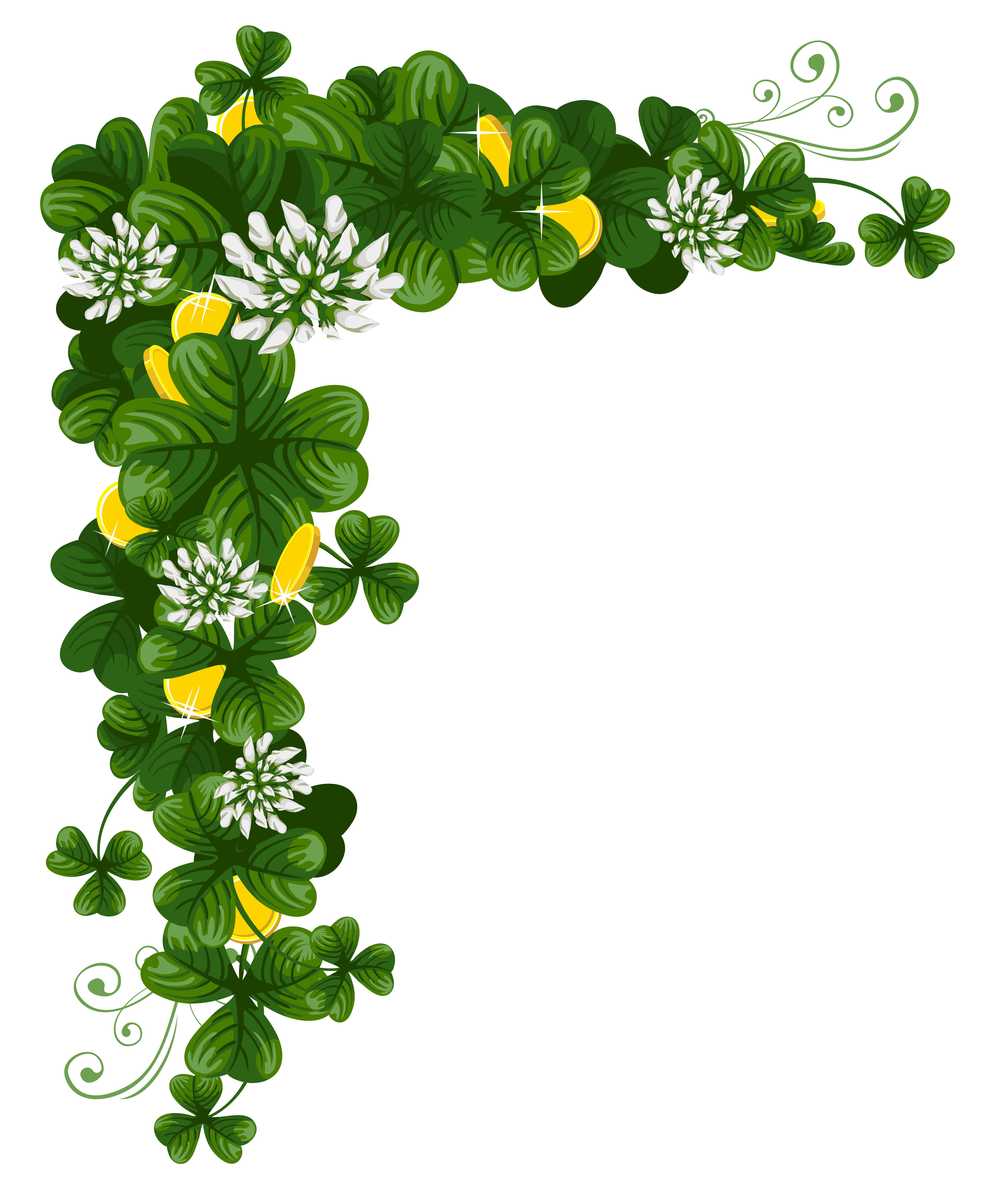 Plant Flora March 17 Patrick Shamrock Saint Transparent PNG Image