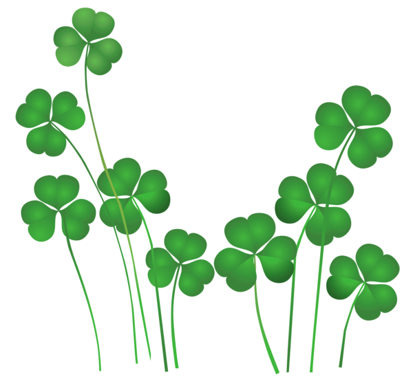 Plant Leaf Ireland St Patricks Shamrocks Saint Transparent PNG Image