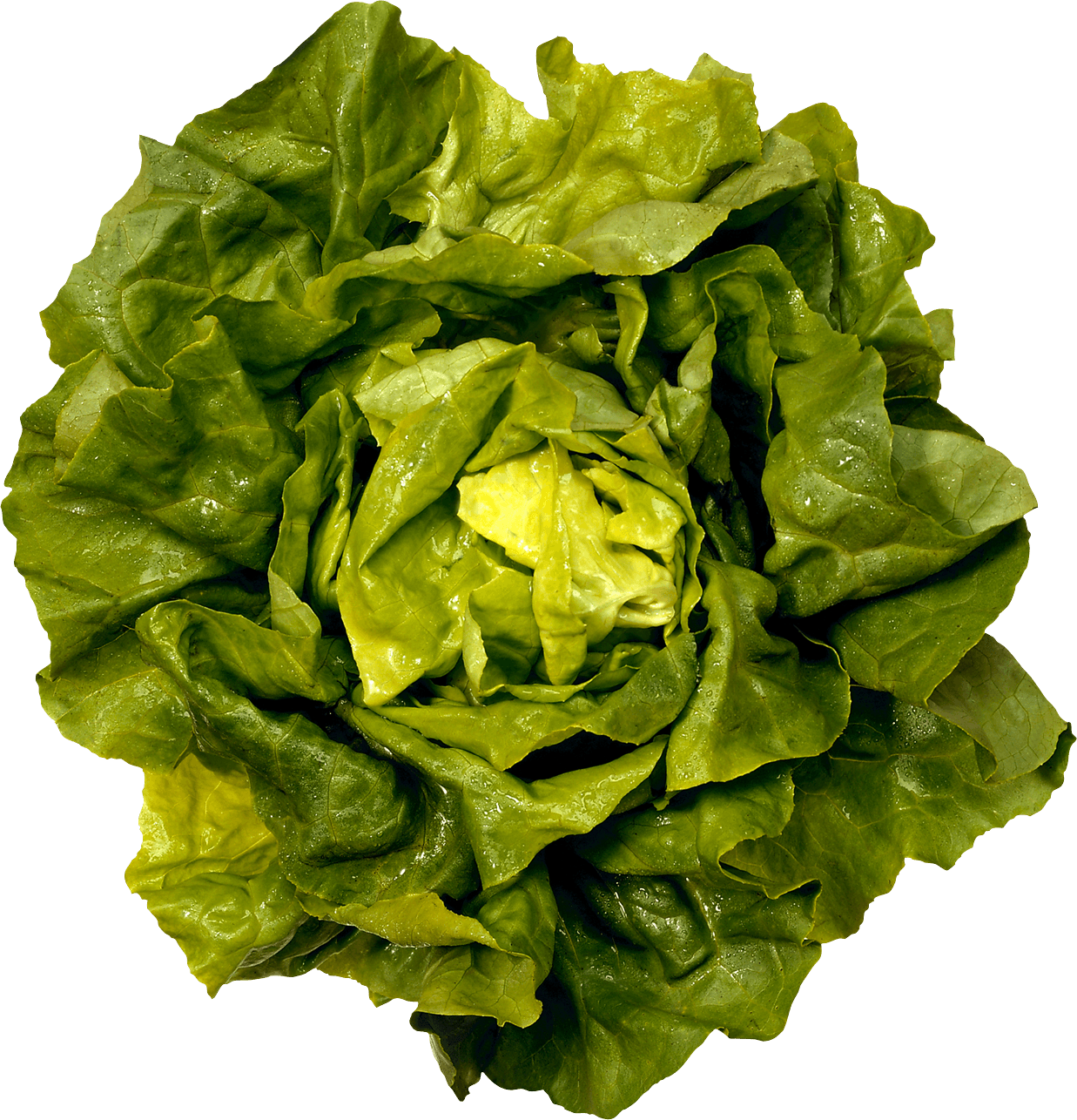 Green Salad Png Image Transparent PNG Image