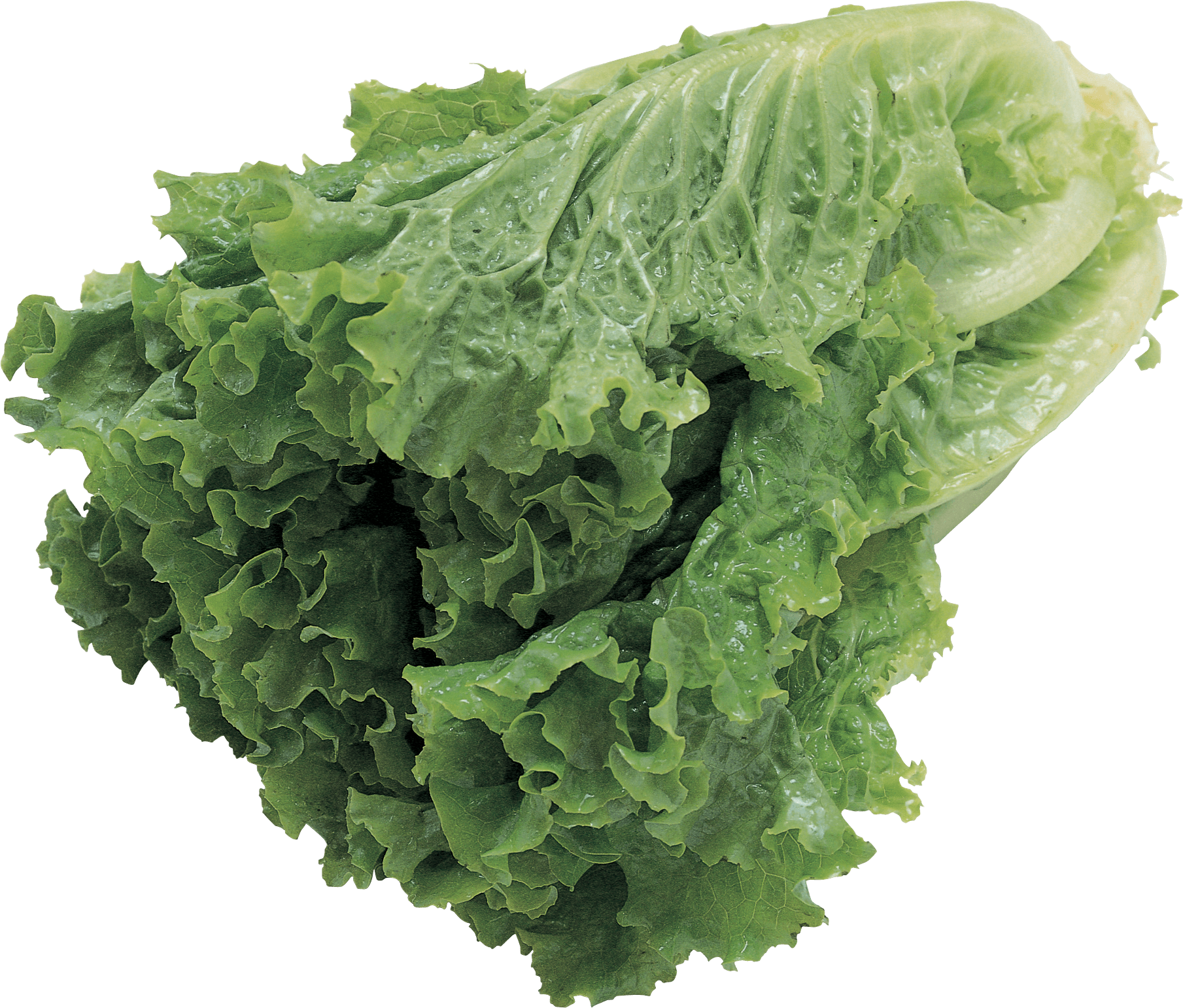 Salad Png Image Transparent PNG Image